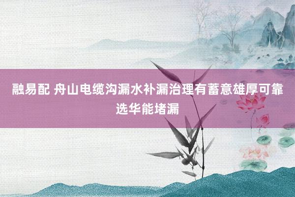融易配 舟山电缆沟漏水补漏治理有蓄意雄厚可靠选华能堵漏
