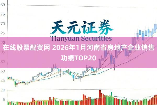 在线股票配资网 2026年1月河南省房地产企业销售功绩TOP20