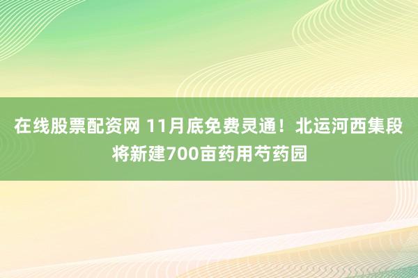 在线股票配资网 11月底免费灵通！北运河西集段将新建700亩药用芍药园