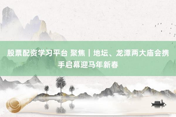股票配资学习平台 聚焦｜地坛、龙潭两大庙会携手启幕迎马年新春