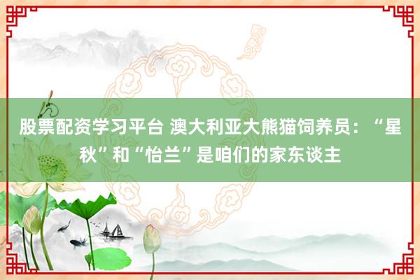 股票配资学习平台 澳大利亚大熊猫饲养员：“星秋”和“怡兰”是咱们的家东谈主