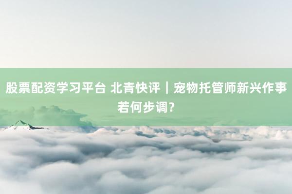 股票配资学习平台 北青快评｜宠物托管师新兴作事若何步调？