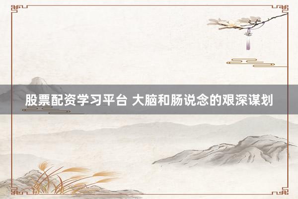 股票配资学习平台 大脑和肠说念的艰深谋划