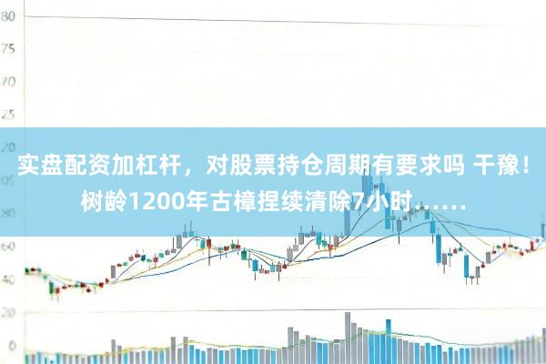 实盘配资加杠杆，对股票持仓周期有要求吗 干豫！树龄1200年古樟捏续清除7小时……