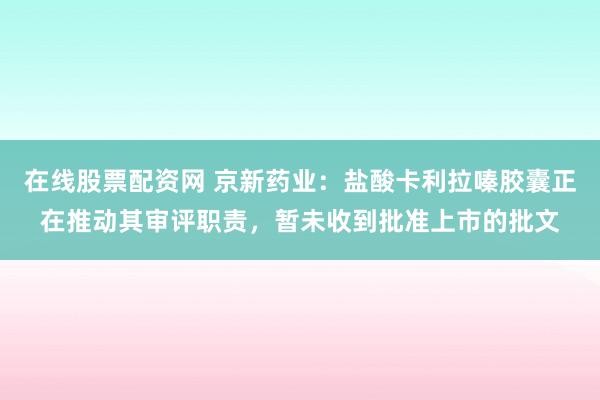 在线股票配资网 京新药业：盐酸卡利拉嗪胶囊正在推动其审评职责，暂未收到批准上市的批文