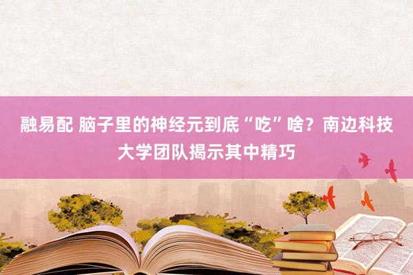 融易配 脑子里的神经元到底“吃”啥？南边科技大学团队揭示其中精巧